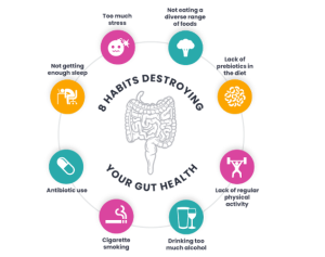 Habits that destroy gut health
