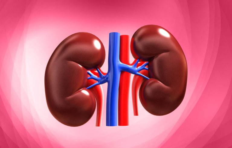 Habits and foods that strengthen the kidneys