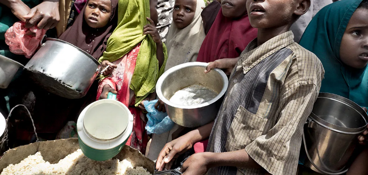 ‘700K babies risk deadly malnutrition in Borno, Adamawa, Yobe’