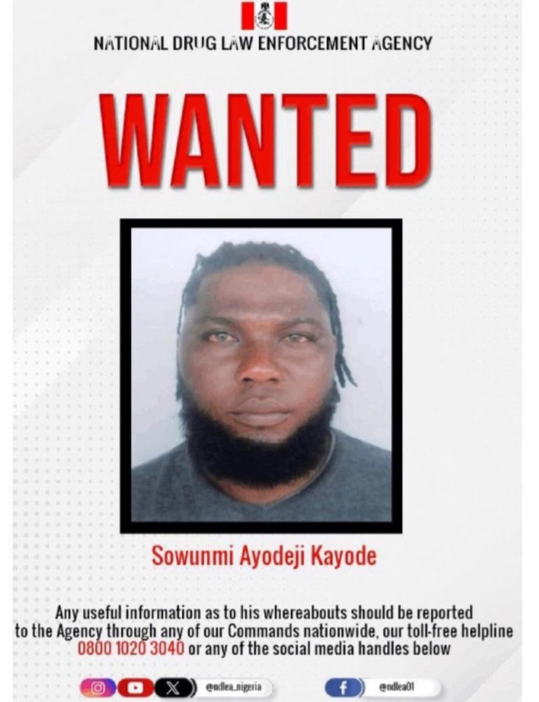 NDLEA declares alleged Lekki drug dealer Sowumi Ayodeji wanted