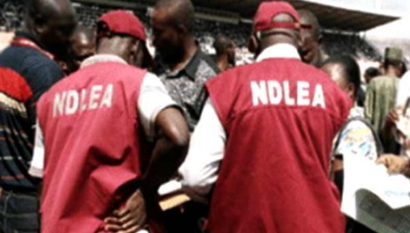 We don’t know men who impregnated us, five teen victims of baby factory tell NDLEA
