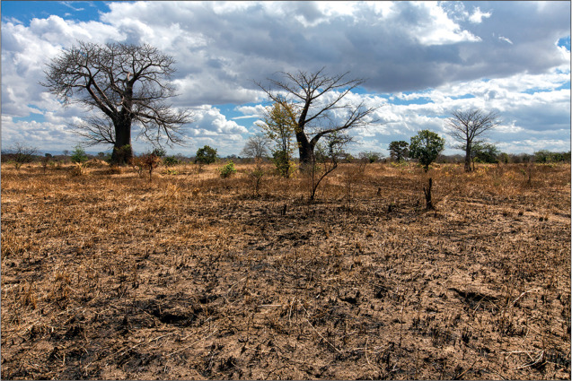 Southern Africa risks hunger as Zimbabwe suffers drought