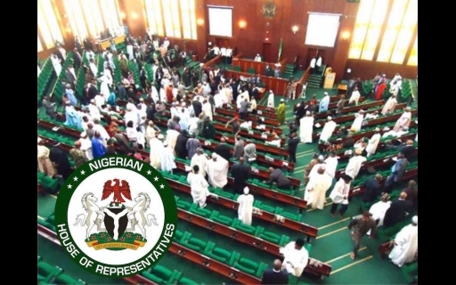Reps divided over Tinubu’s budget request