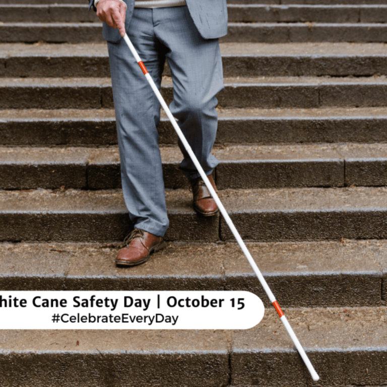 Calls for a united front support on White Cane Day