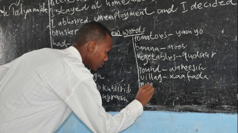 950,000 teachers needed for curriculum revamp in basic schools