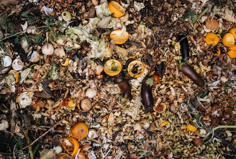 Christmas food waste contributes to global warming –Environmentalist 