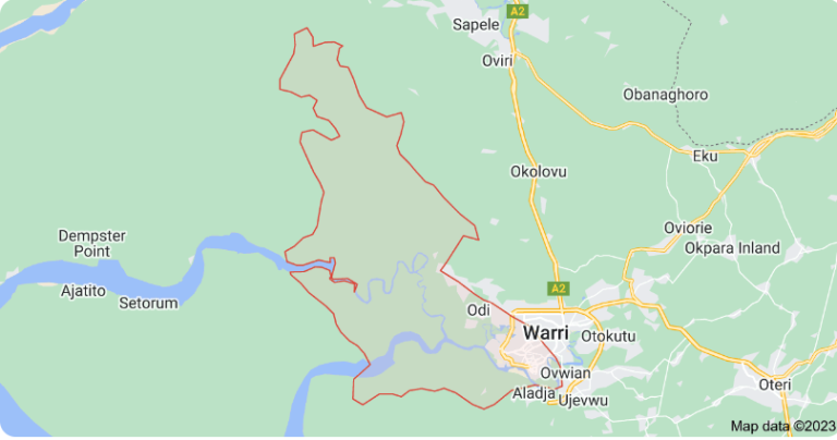 Warri South dissolves youth organisations over security concerns