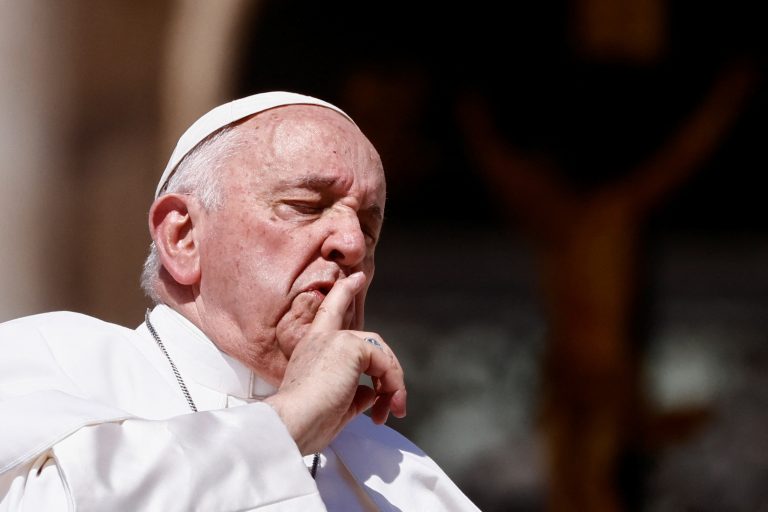 Pope cancels appointments due to mild flu