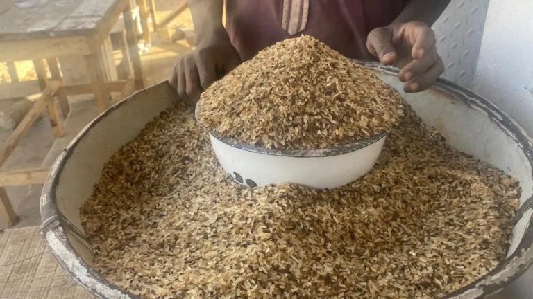 As hunger bites harder, Nigerians turn to processed rice waste