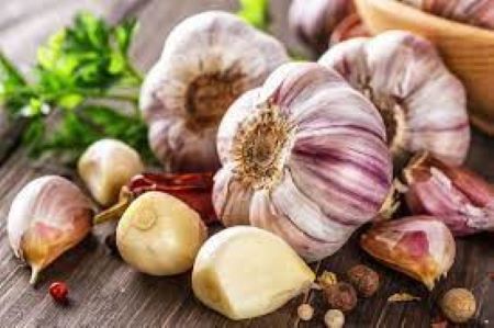Garlic is good, but it can’t replace doctor’s prescription