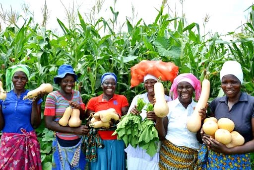 RHI to support women farmers with N500K each