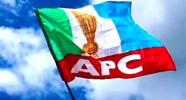 APC Primary: Voters disperse as violence erupts in Okitipupa