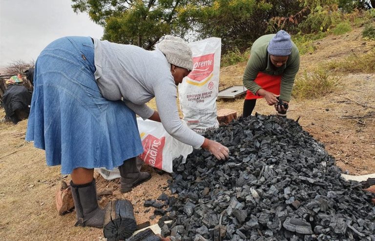 Kwara reaffirms ban on charcoal production