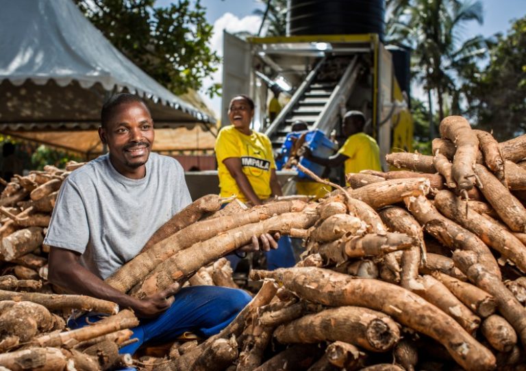 U.S. food coy to partner FG on cassava processing