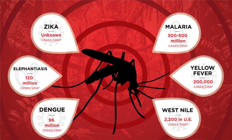 Over half of world at risk of mosquito-borne diseases -Scientists
