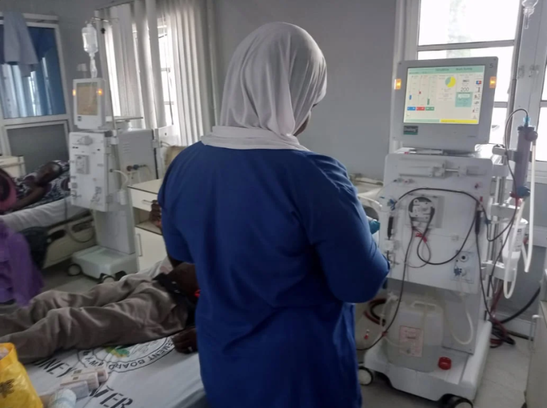 Specialist decries Borno’s rising kidney disease cases as 668 benefit from govt’s free dialysis programme