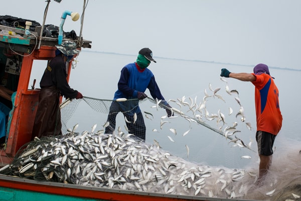 Fishing industry can surpass oil sector –Minister