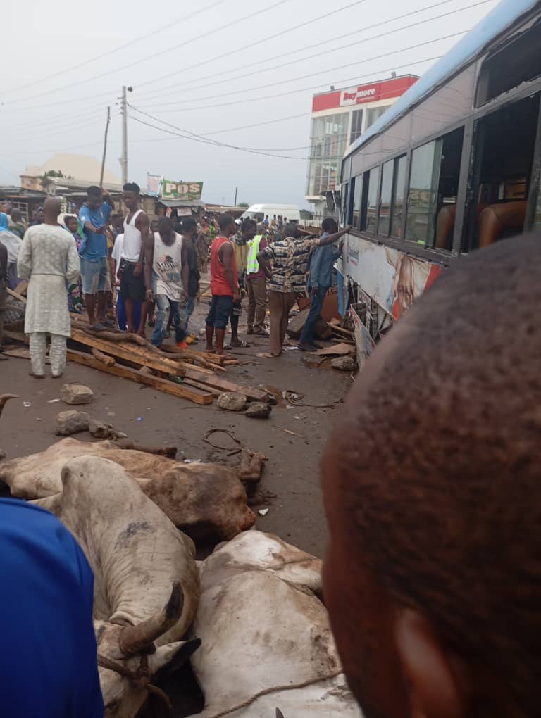 PHOTOS: 7 injured, cows die in Lagos-Ibadan Expressway accident