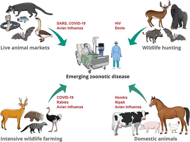 Group raises concern over rising zoonotic diseases