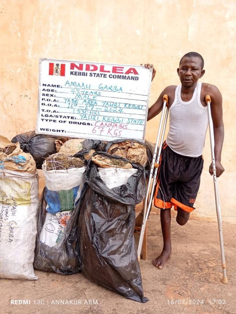 NDLEA makes drug raid from Kebbi to Lagos, Abuja and others