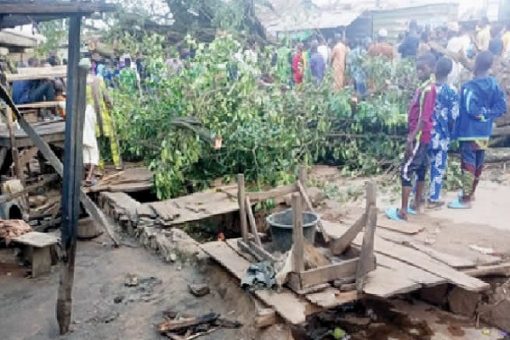 Rainstorm uproots trees, killing four persons taking cover under them in Edo