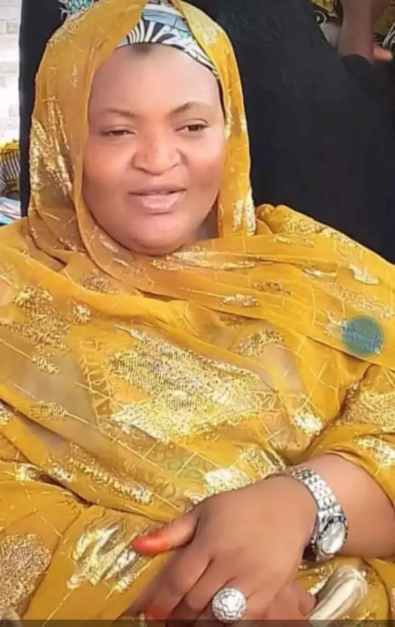 Niger State deputy governor loses wife Zainab
