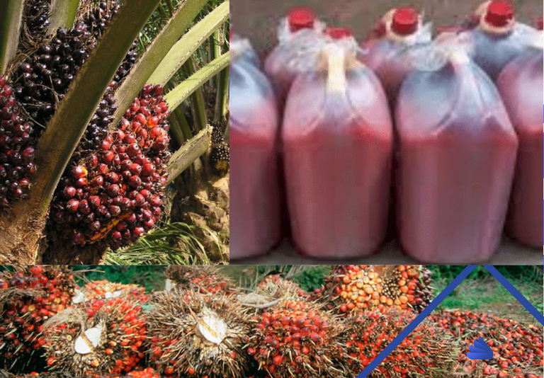 Trader allegedly defaulted after taking N3m to supply palm oil