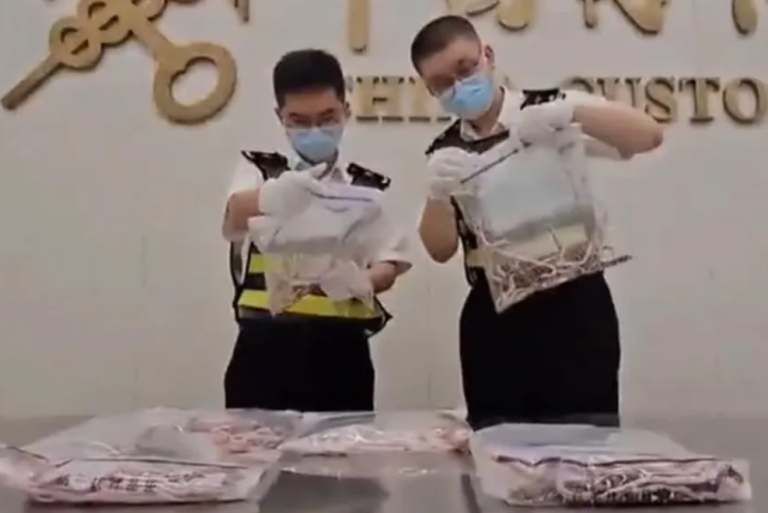 Smuggler caught with 104 live snakes in his  trouser pockets