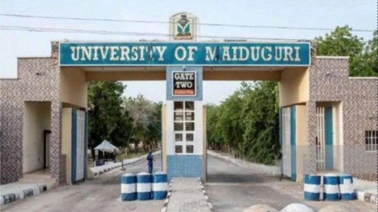 UNIMAID Prof dies in alleged freak accident