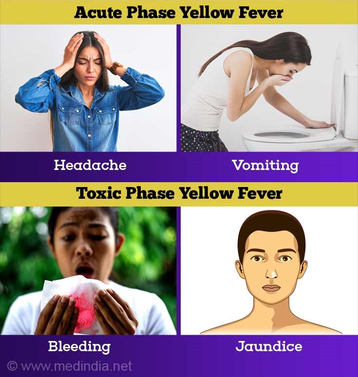 How to prevent yellow fever in rainy season -NCDC