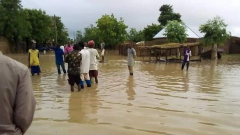 NEMA confirms 1 dead in Ondo flood