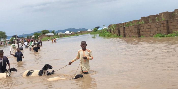 Yobe issues fresh flood alert to 9 LGAs