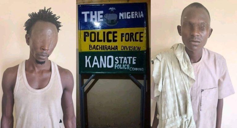 VIDEO: Two suspects nabbed over stolen Kano Police signpost