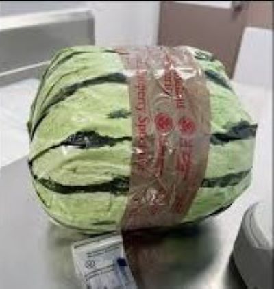 $5m worth of meth disguised as watermelons