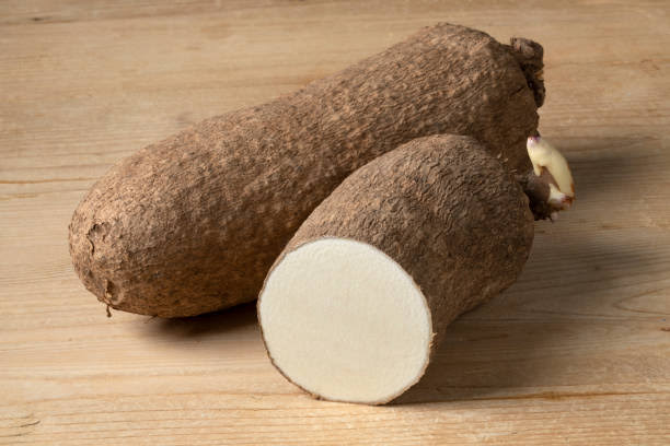 40-year-old man gets 9 months for stealing 2 tubers of yam