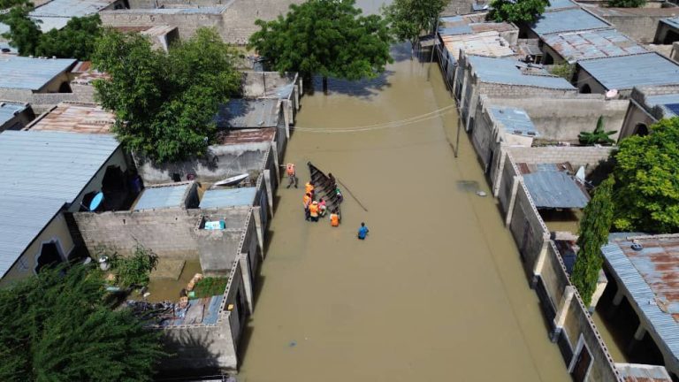 Borno flood relief committee verifies over 7,000 victims