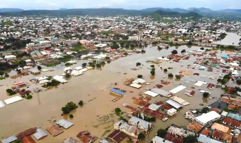 IOM donates over $1.8m to flood response in Nigeria