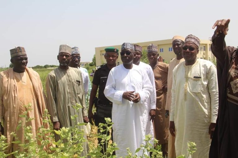 Katsina prohibits farming on cattle routes