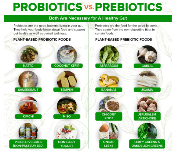 Prebiotic foods vs Probiotic foods